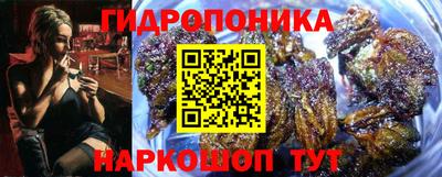 винт Славянск-на-Кубани