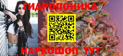 винт Славянск-на-Кубани