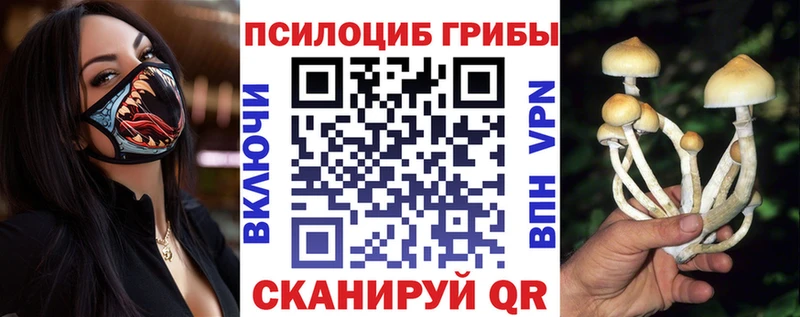 ОМГ ОМГ онион  Фрязино  Галлюциногенные грибы мухоморы 