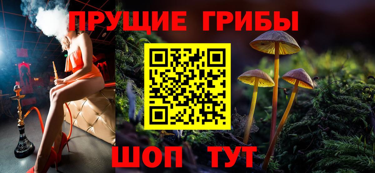 Псилоцибиновые грибы Magic Shrooms  Вход с VPN  Фрязино 