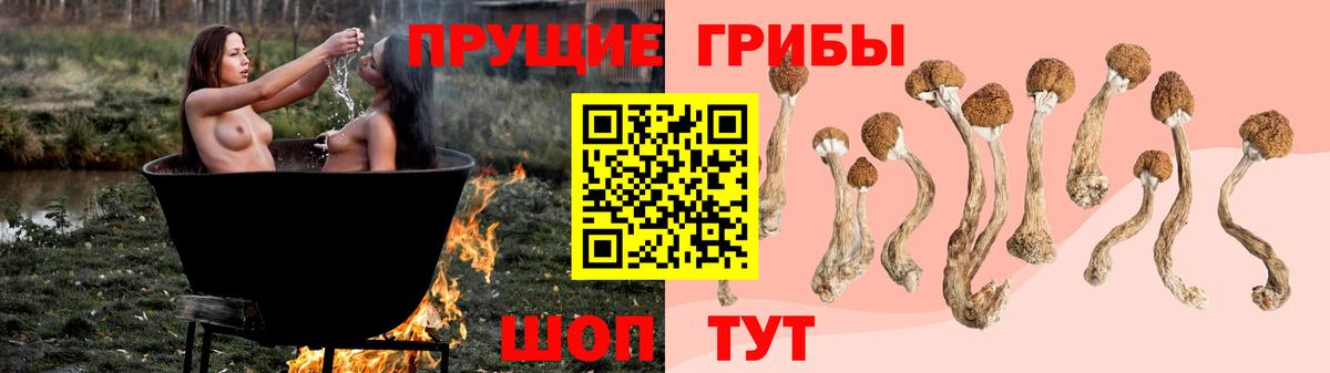Псилоцибиновые грибы мицелий Фрязино