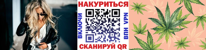 Бошки марихуана семена  где продают наркотики  Фрязино 